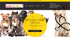 Desktop Screenshot of caudlevetclinic.com